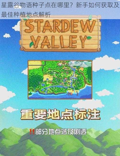 星露谷物语种子点在哪里?新手如何获取及最佳种植地点解析